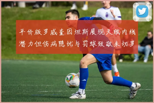 平价版罗威奎因坦斯展现天赋内线潜力但伤病隐忧与罚球致敬米切罗