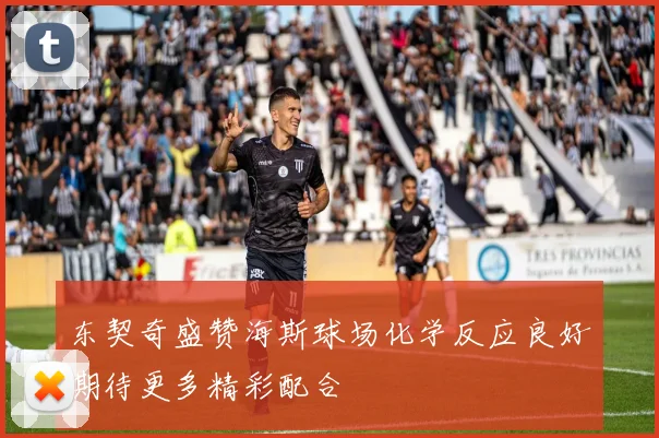 东契奇盛赞海斯球场化学反应良好期待更多精彩配合