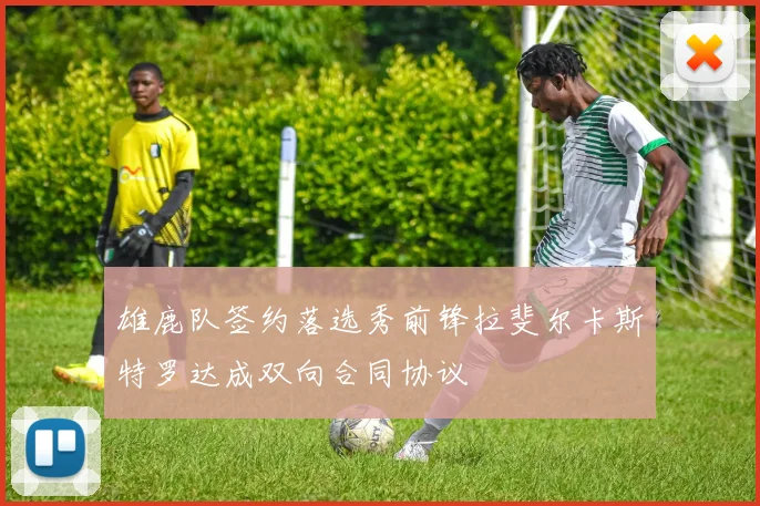 雄鹿队签约落选秀前锋拉斐尔卡斯特罗达成双向合同协议